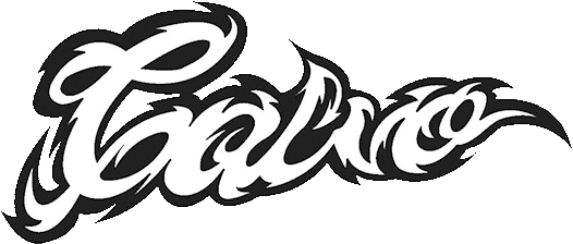 Cal-Vo道場   calvo official  site